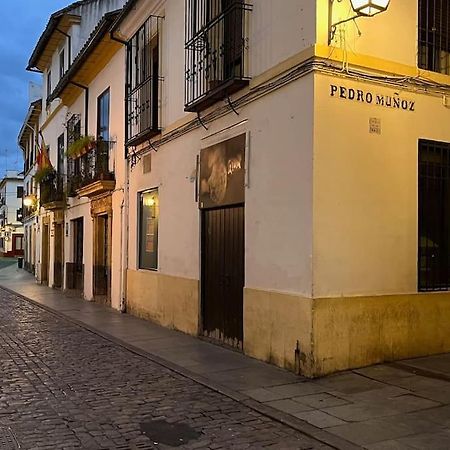 Patio De La Corredera Apartment Cordoba Ngoại thất bức ảnh