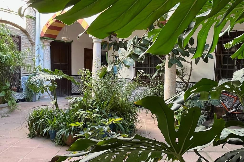 Patio De La Corredera Apartment Cordoba Ngoại thất bức ảnh