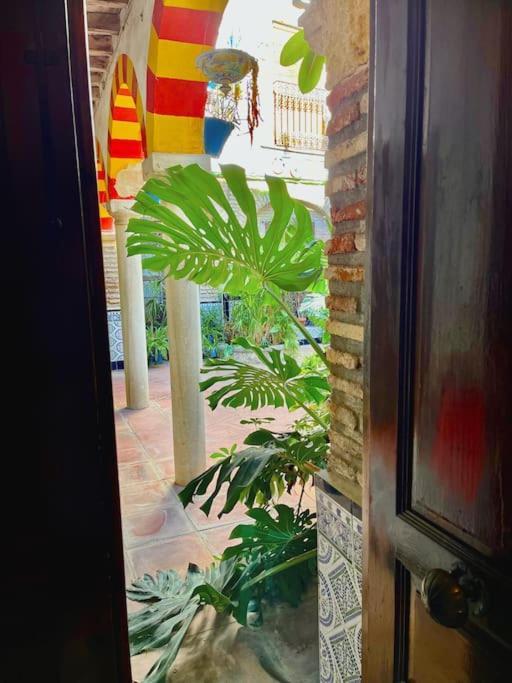 Patio De La Corredera Apartment Cordoba Ngoại thất bức ảnh